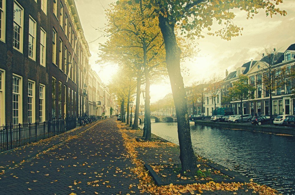Недвижимость в Нидерландах – сказка XXI века | Фотография 2 | ee24
