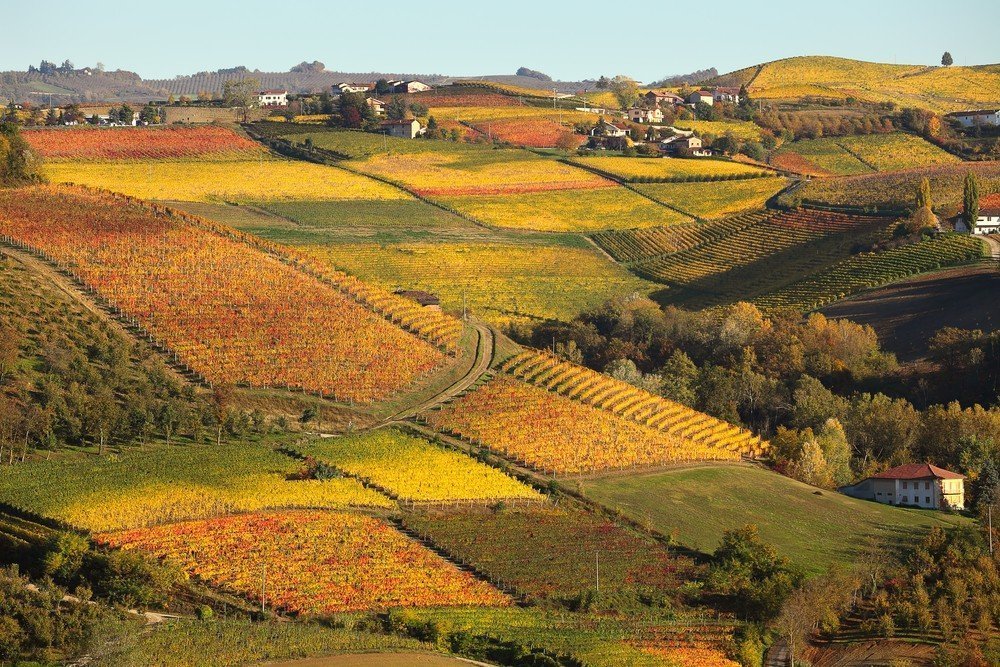 Виноградники во Франции и Италии: кто покупает и почем? | Фотография 1 | ee24