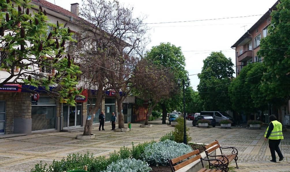 «Мы уже почти два года живём в раю!»: пенсионер Виктор о покупке квартиры в Болгарии