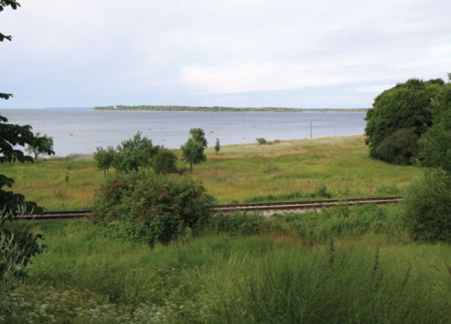 Ближе к морю: Таллин продает побережье Финского залива за €1,5 млн