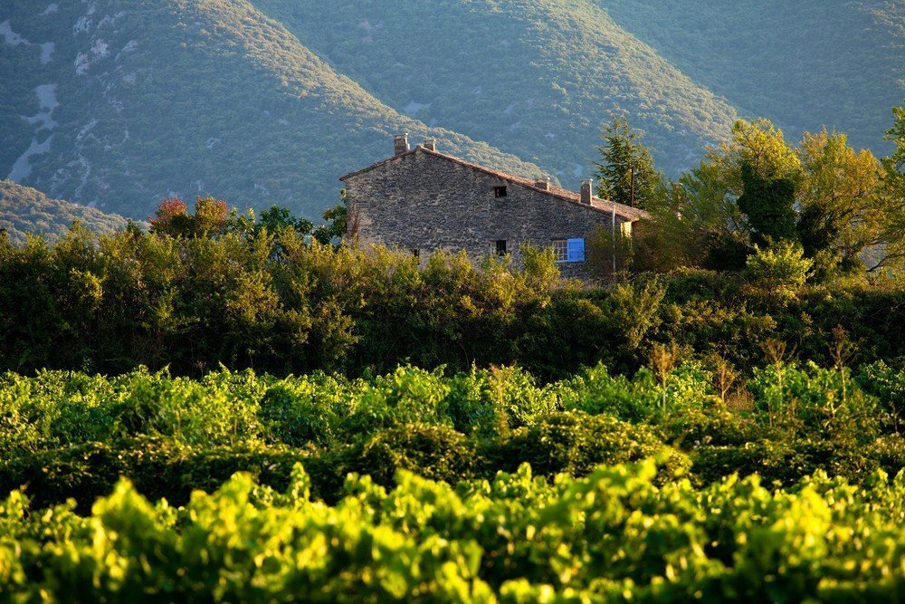 Виноградники во Франции и Италии: кто покупает и почем? | Фотография 3 | ee24