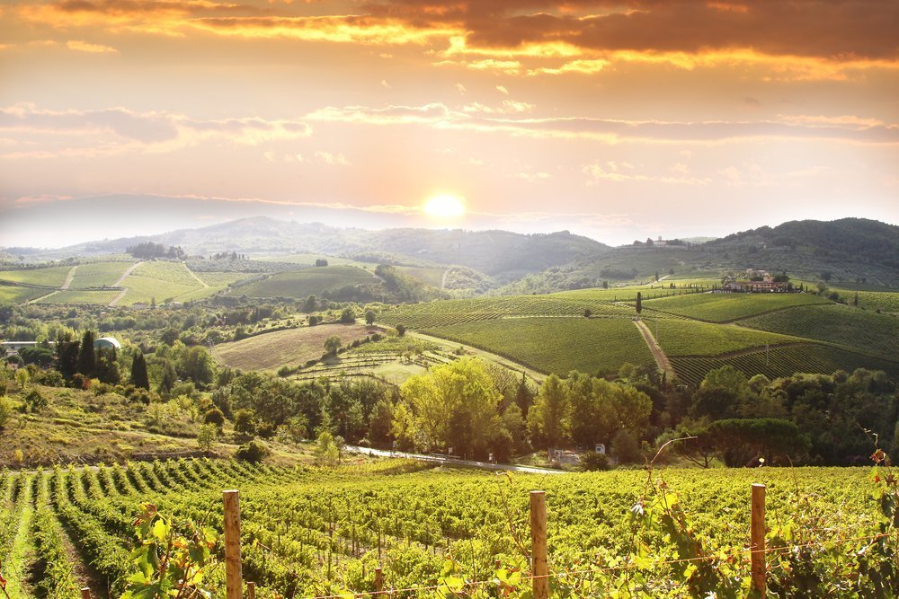 Виноградники во Франции и Италии: кто покупает и почем? | Фотография 5 | ee24