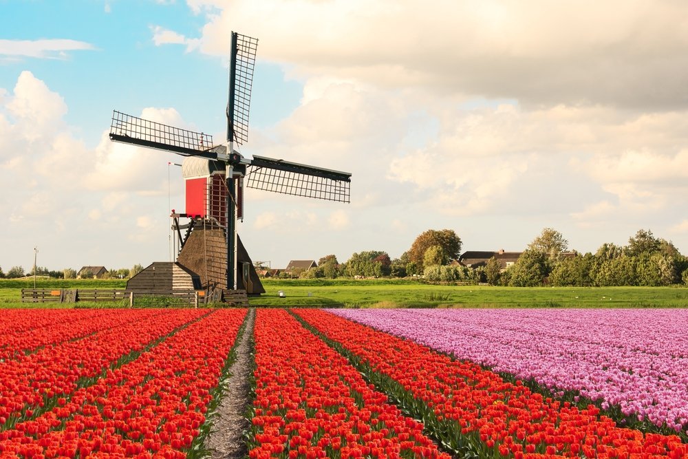 Голландская недвижимость стремительно повышается в цене