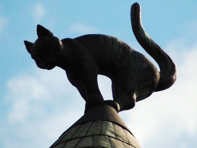 Время превратило Дом котов в Риге в визитную карточку столицы Латвии