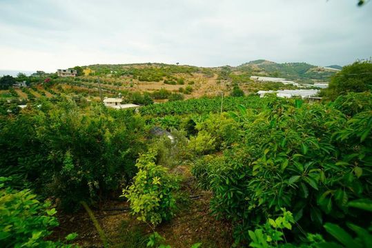 Земля в Şekerhane Махаллеси