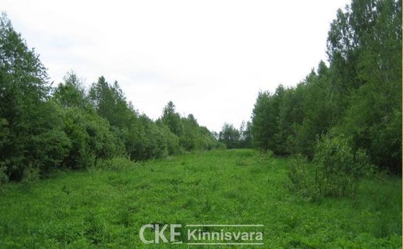 Земельный участок в Лавассааре