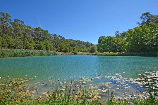 Вилла в Auvergne-Rhône-Альпы