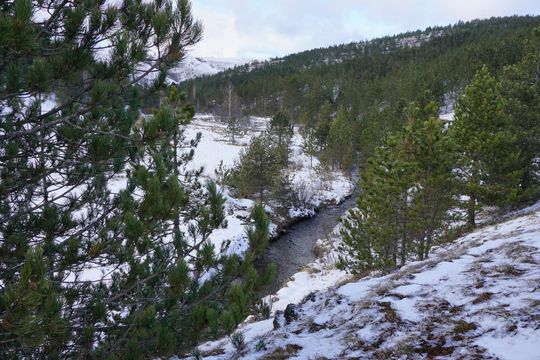 Различного назначения в Златибор