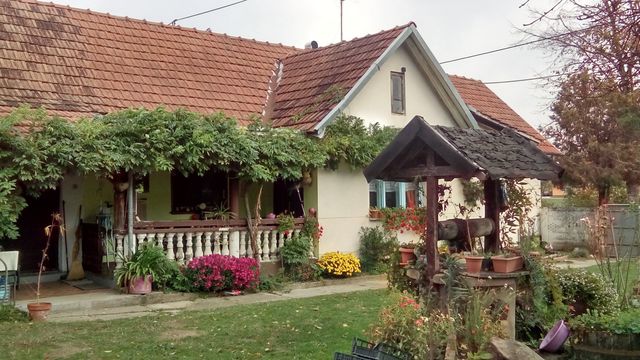 Ферма в Питомача