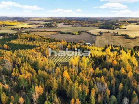 Земля в Папиланпелто