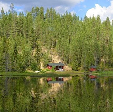 В Финляндии переселенцам будут выдавать средства для аренды жилья подальше от крупных городов