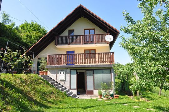 Отдельный дом в Иванчна-Горица